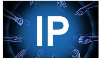 顺势科技 新物种实验的智慧路径